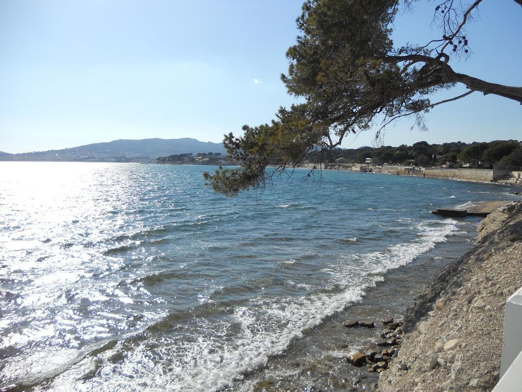 Studio Le Peneque Des Anges La Ciotat Oda fotoğraf