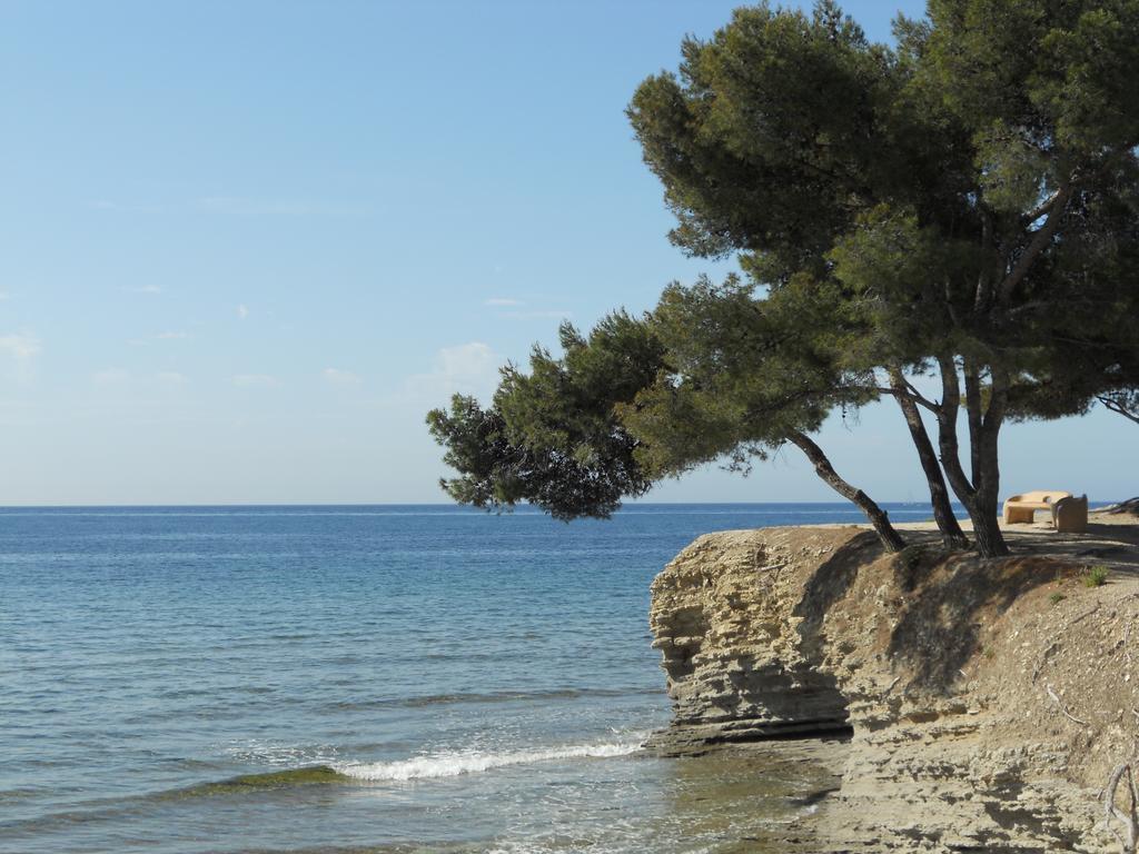 Studio Le Peneque Des Anges La Ciotat Oda fotoğraf