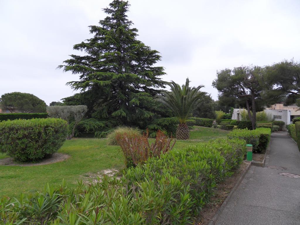 Studio Le Peneque Des Anges La Ciotat Oda fotoğraf