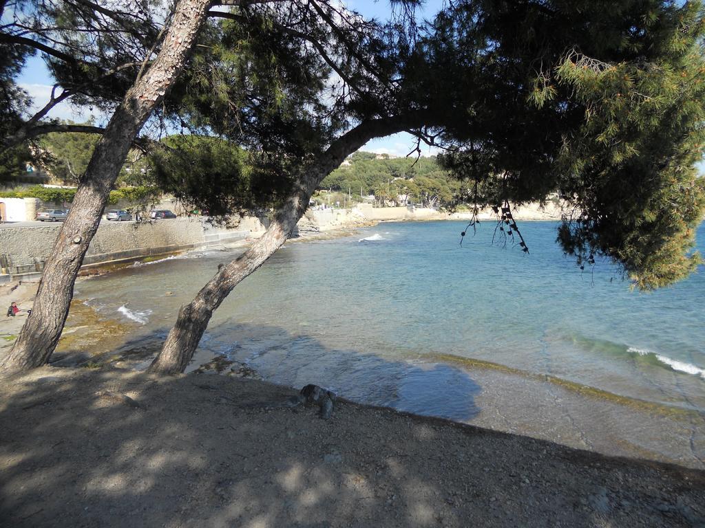 Studio Le Peneque Des Anges La Ciotat Oda fotoğraf