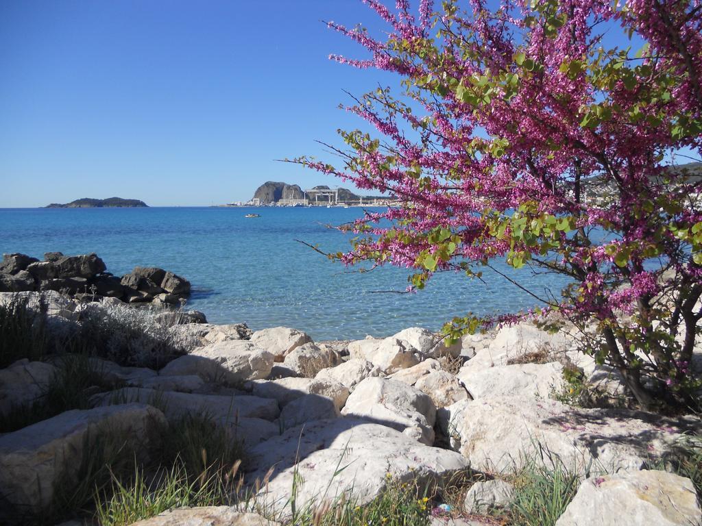Studio Le Peneque Des Anges La Ciotat Dış mekan fotoğraf