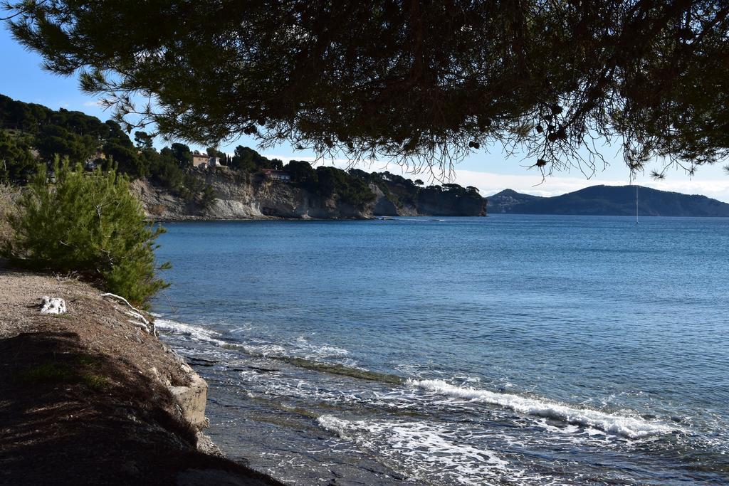 Studio Le Peneque Des Anges La Ciotat Dış mekan fotoğraf