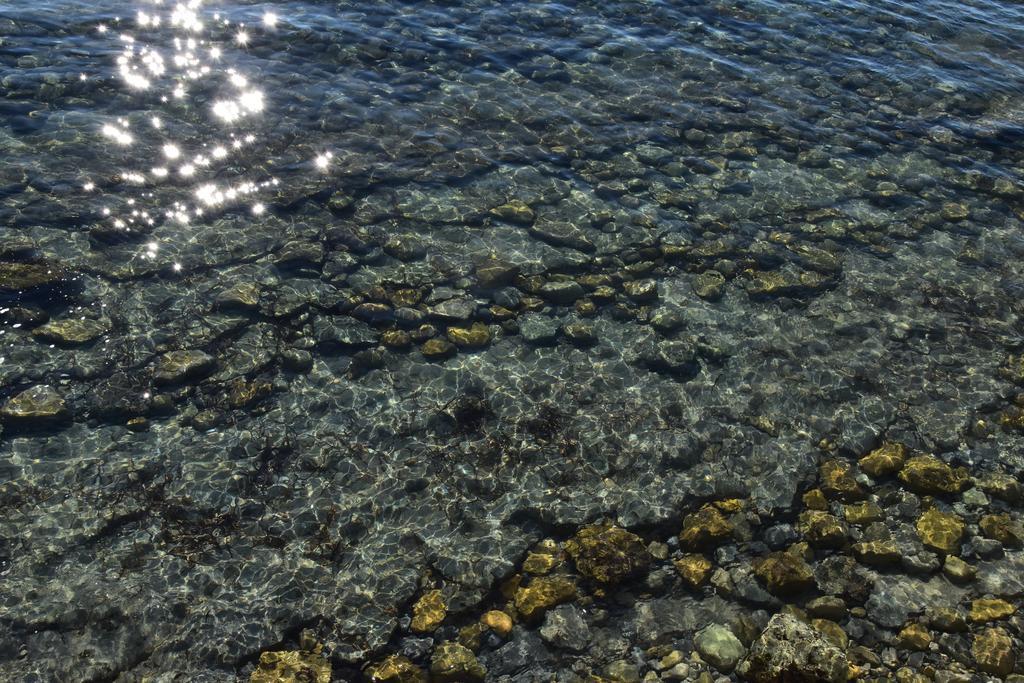Studio Le Peneque Des Anges La Ciotat Dış mekan fotoğraf